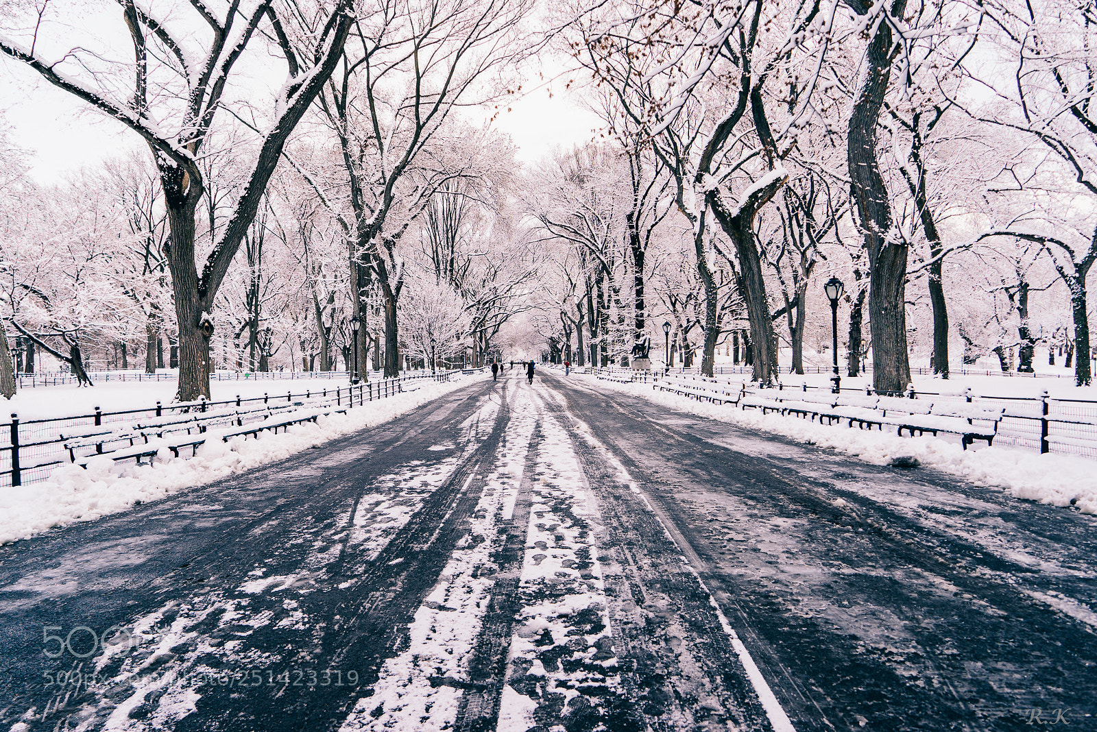 Sony a7R sample photo. Work hard, push your photography