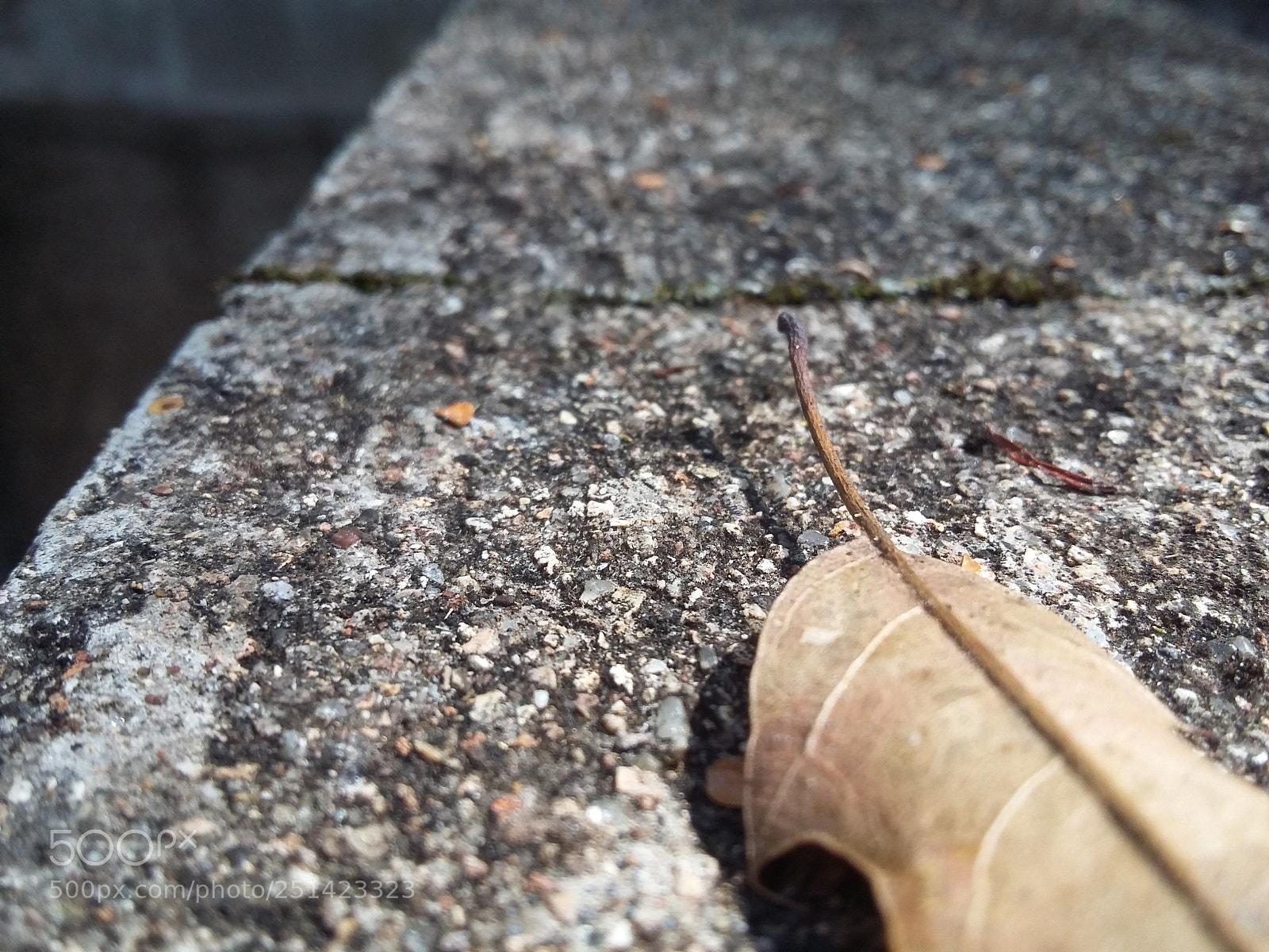 Samsung Galaxy Grand Prime sample photo. Untitled photography