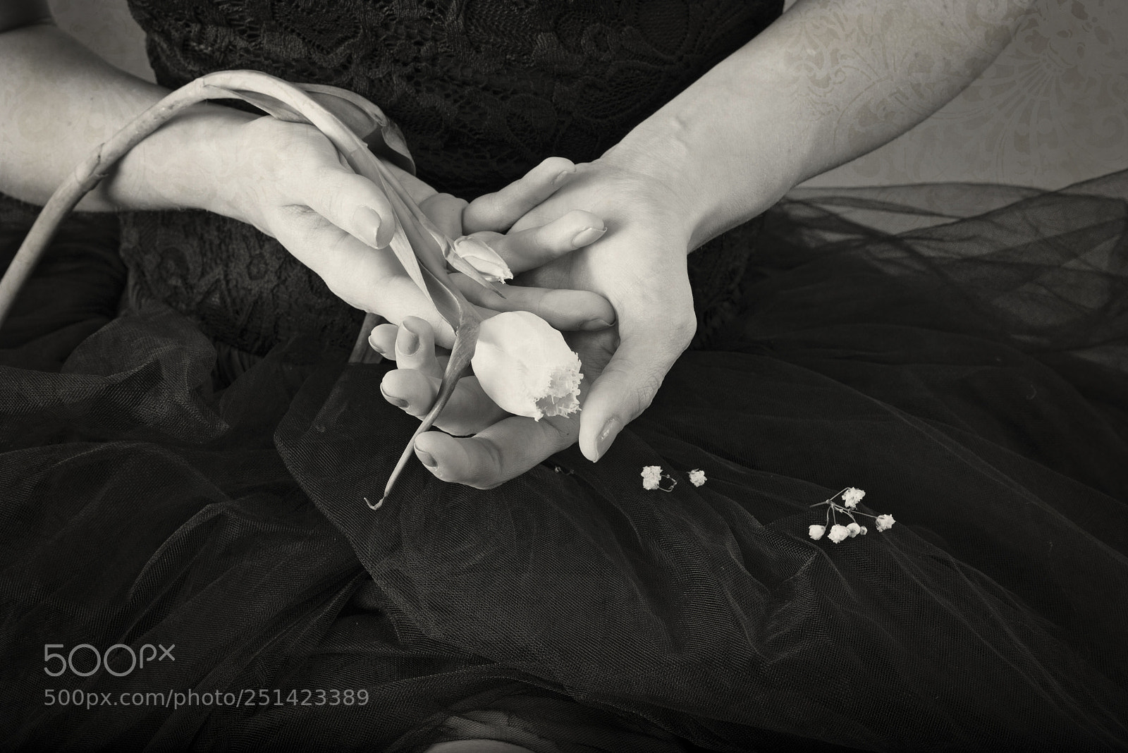 Nikon D610 sample photo. Tulip photography