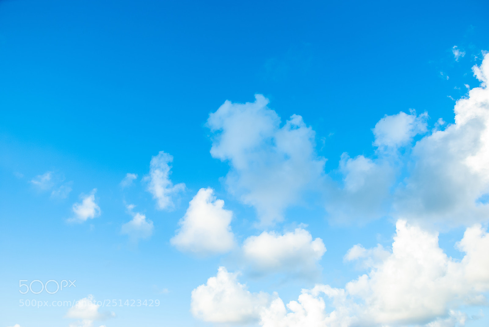Nikon D80 sample photo. Blue sky white cloud photography