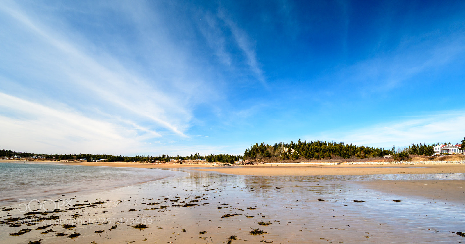 Nikon D500 sample photo. New river beach photography
