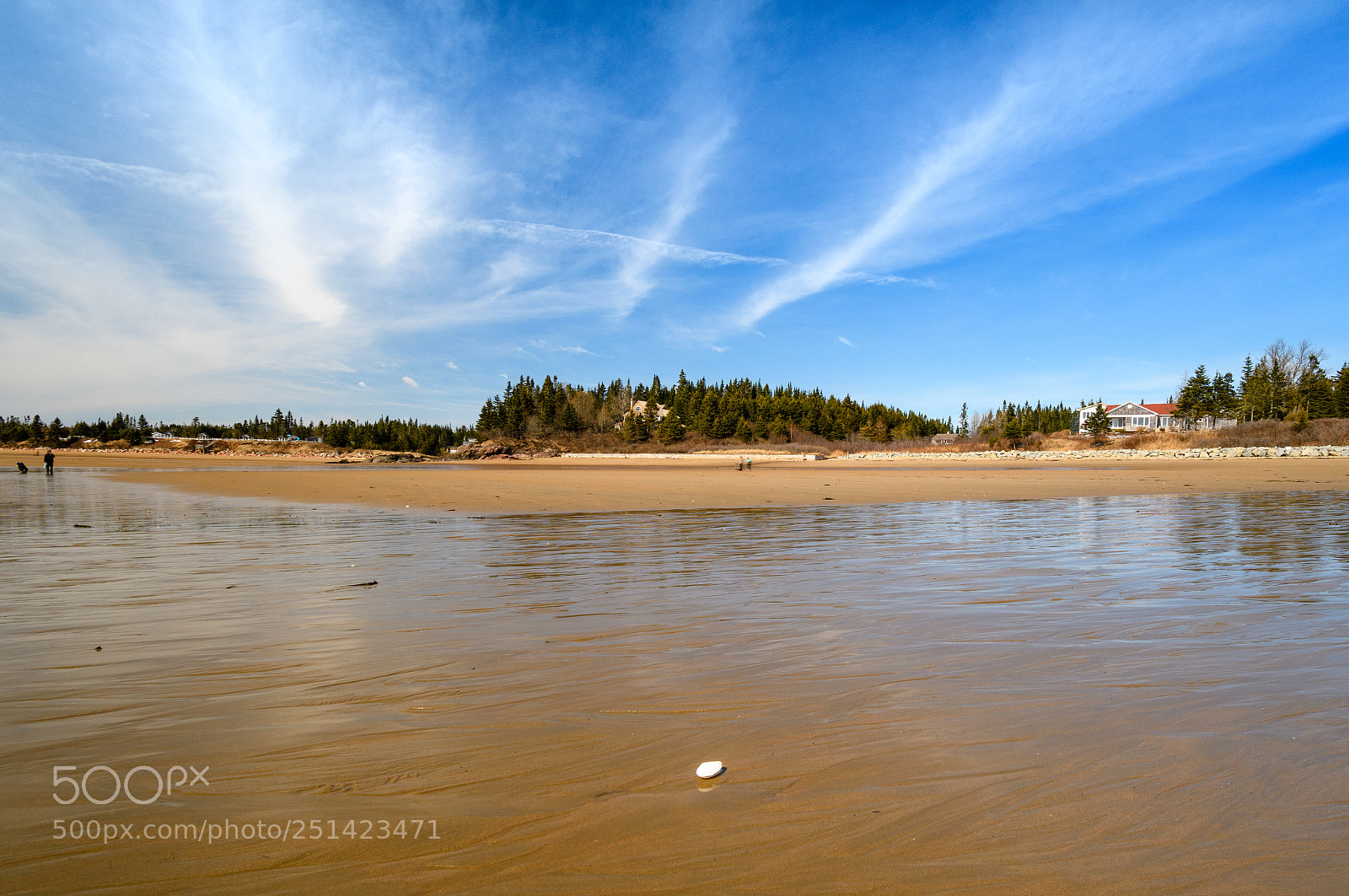 Nikon D500 sample photo. New river beach photography