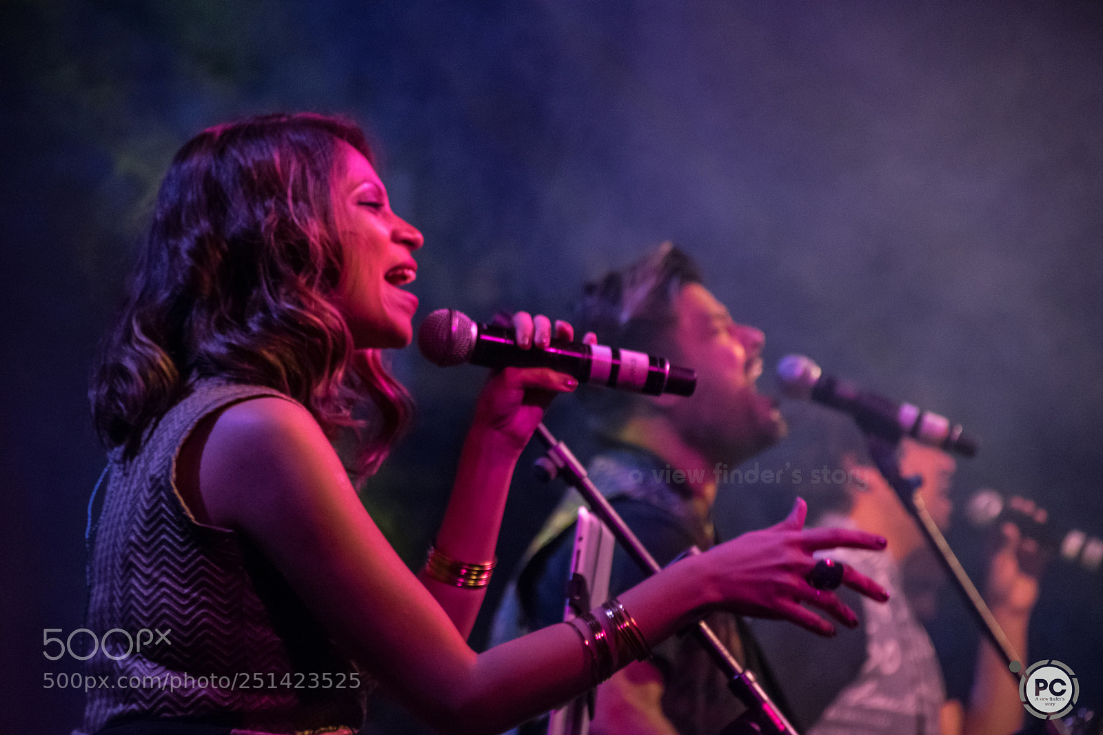 Nikon D5300 sample photo. The female singer photography
