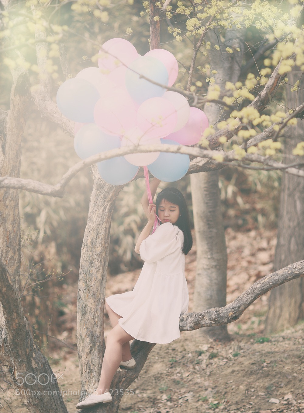 Canon EOS-1D Mark III sample photo. Dream.. photography