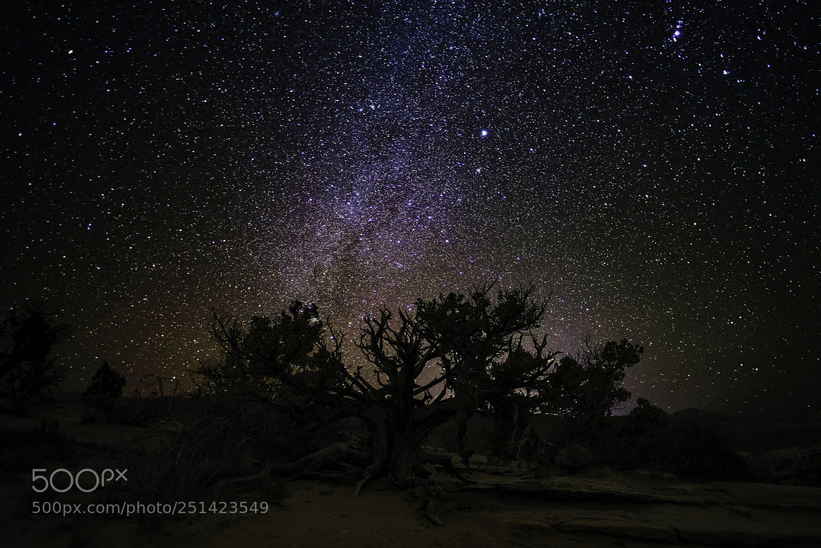 Nikon D810 sample photo. Arches np photography