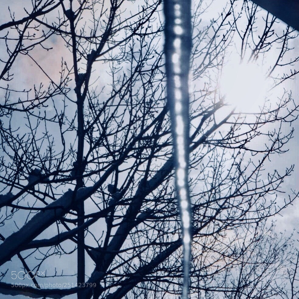 Nikon D5300 sample photo. Spring icicles photography