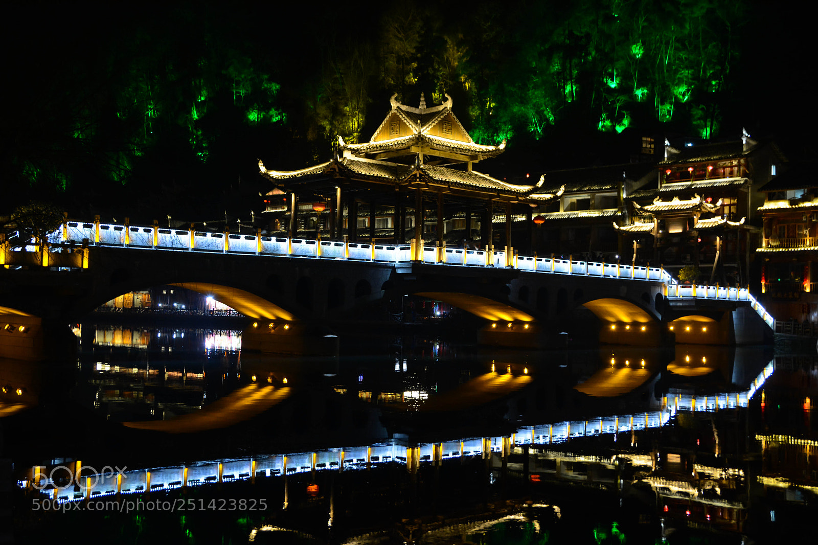Nikon D7100 sample photo. 夜色凤凰 photography