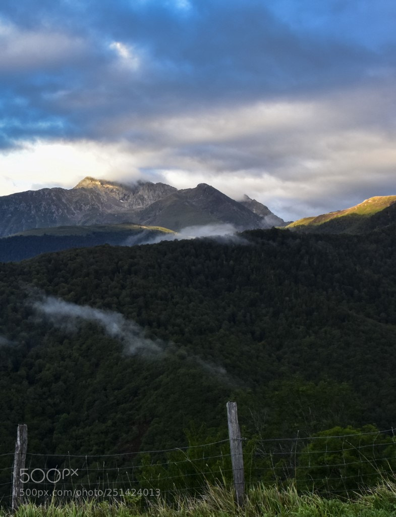 Nikon D7200 sample photo. En la carretera photography