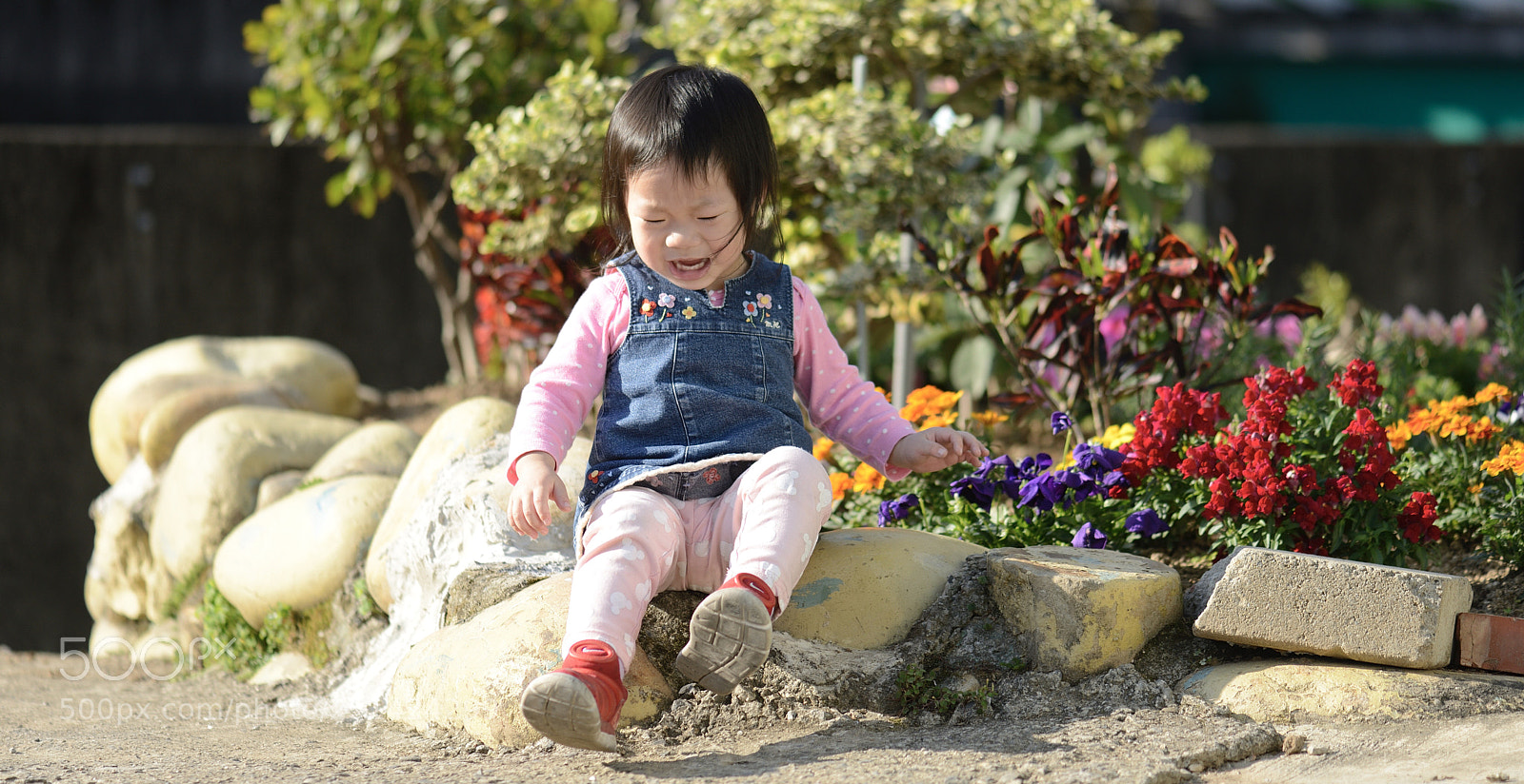 Nikon D800 sample photo. Untitled photography