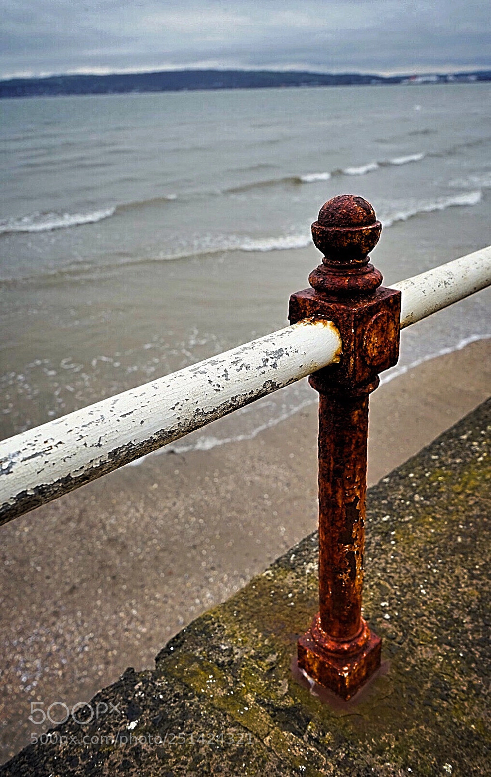 Sony a7 sample photo. Untitled photography