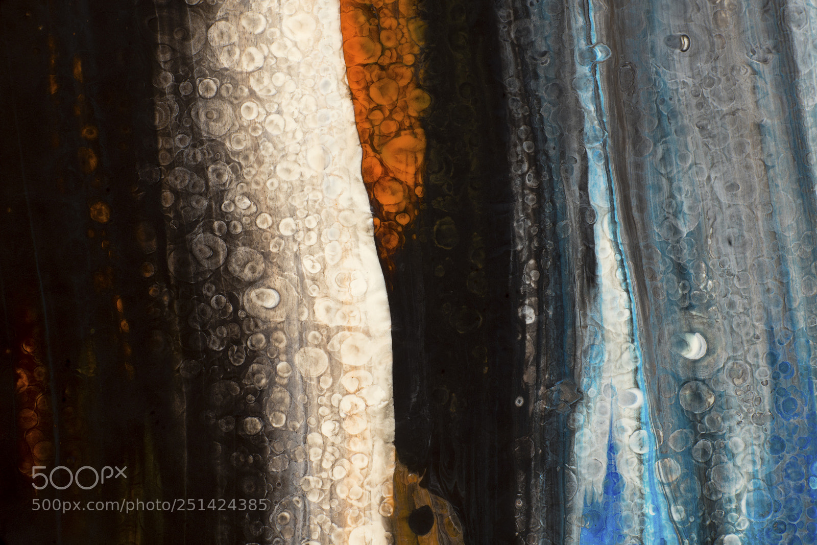 Sony a7R sample photo. Plate 2642 photography
