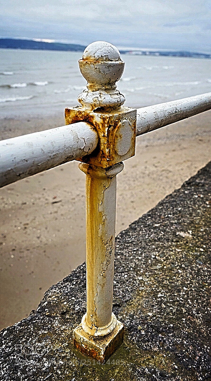 Sony a7 sample photo. Untitled photography