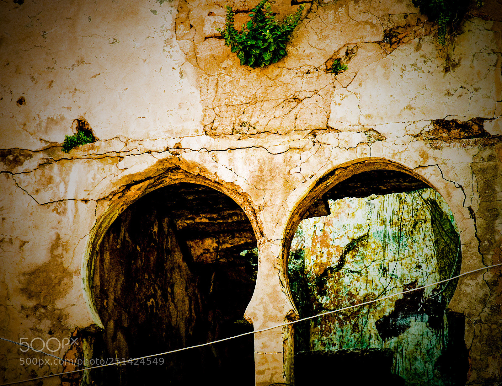 Nikon D5500 sample photo. Untitled photography
