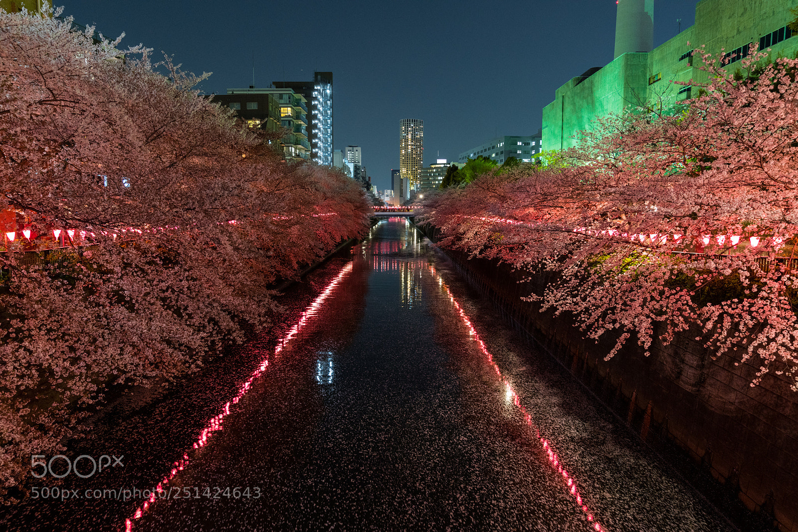 Sony a7R III sample photo. Dsc photography