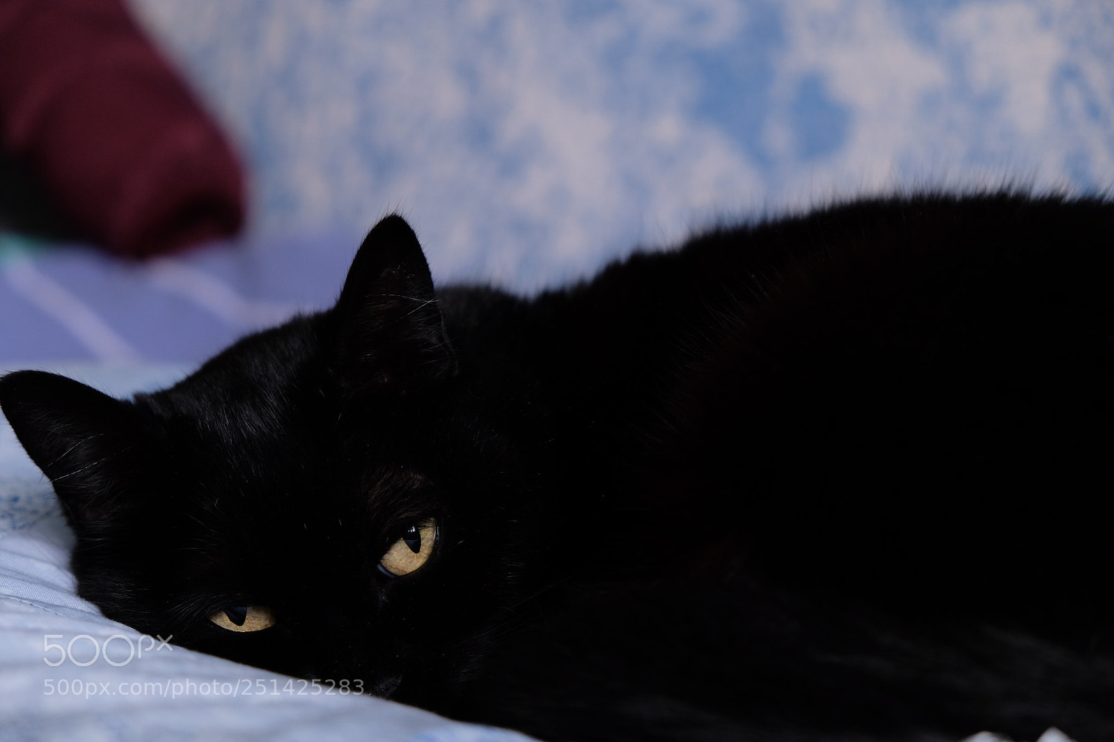 Fujifilm X-T20 sample photo. She. photography