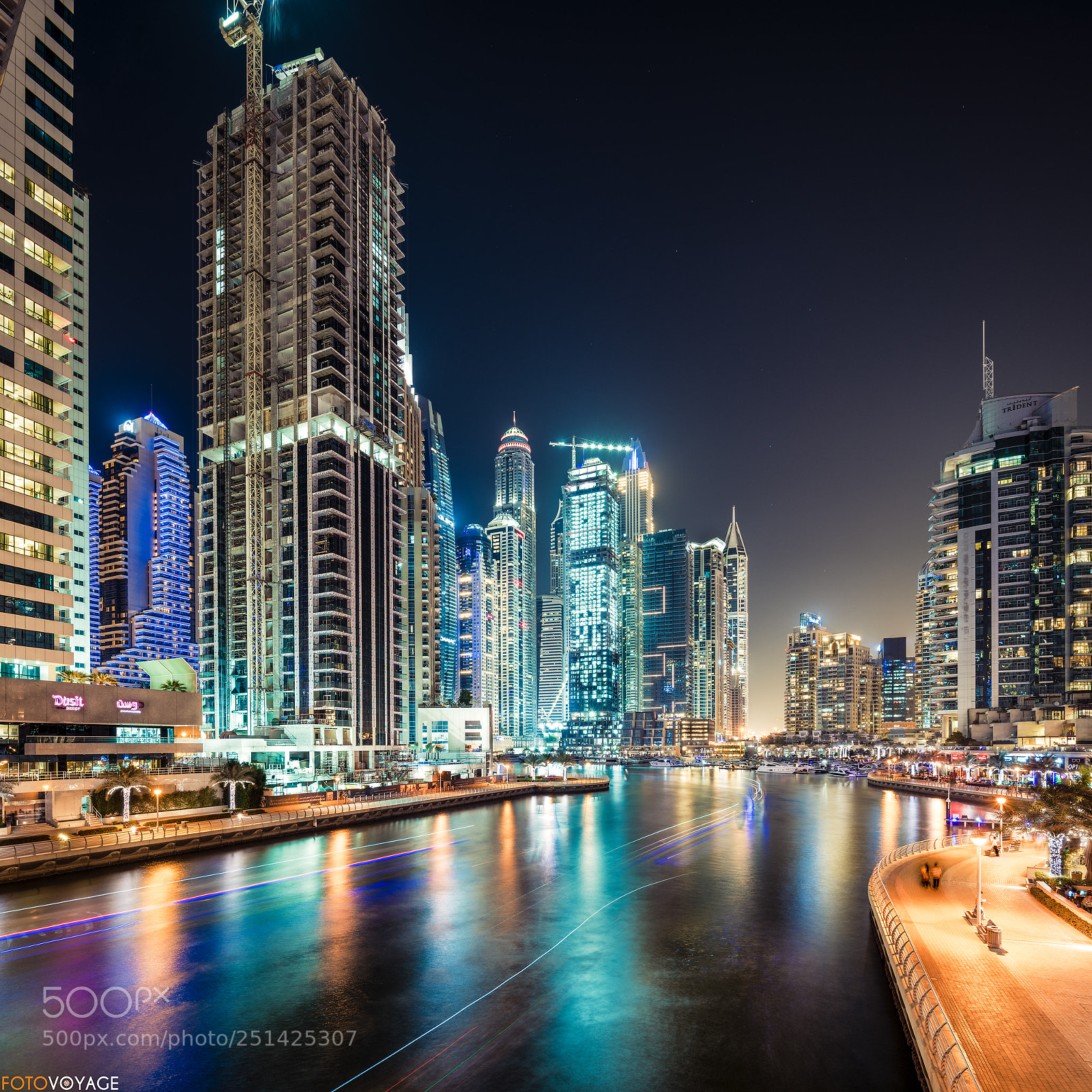 Nikon D850 sample photo. Concrete jungle photography