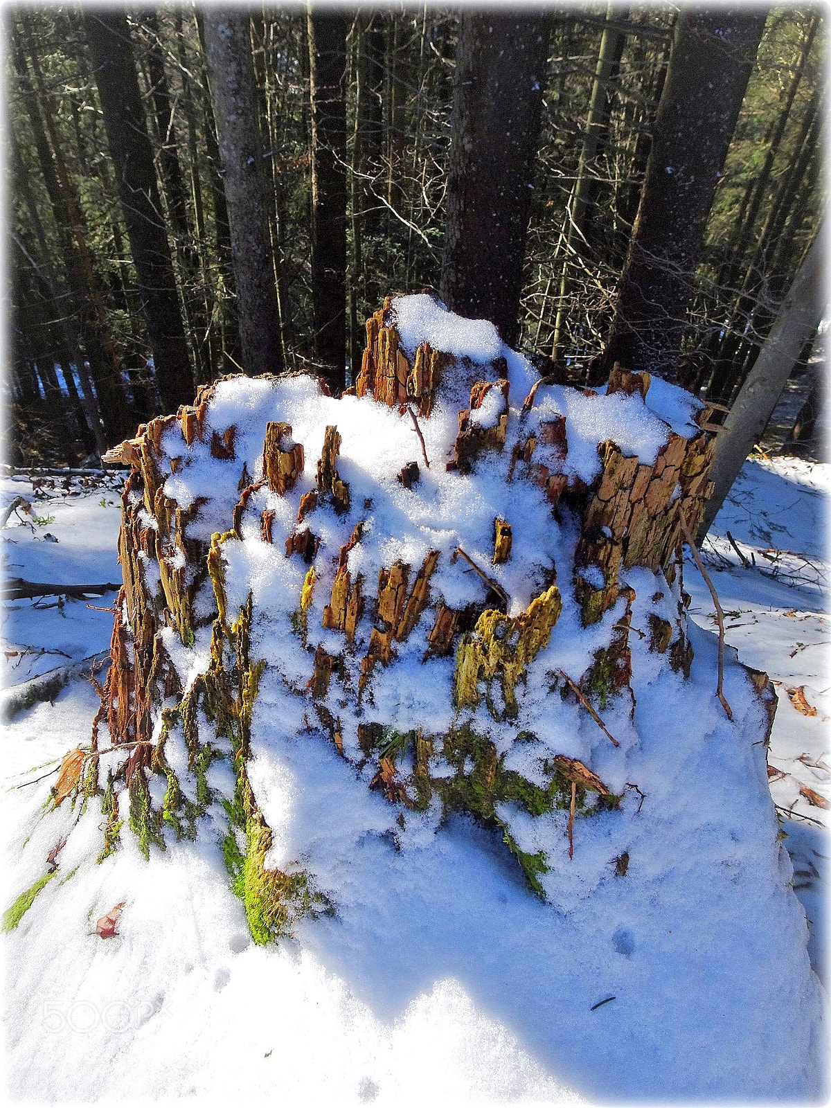 Sony Cyber-shot DSC-HX80 sample photo. "frozen castel" photography