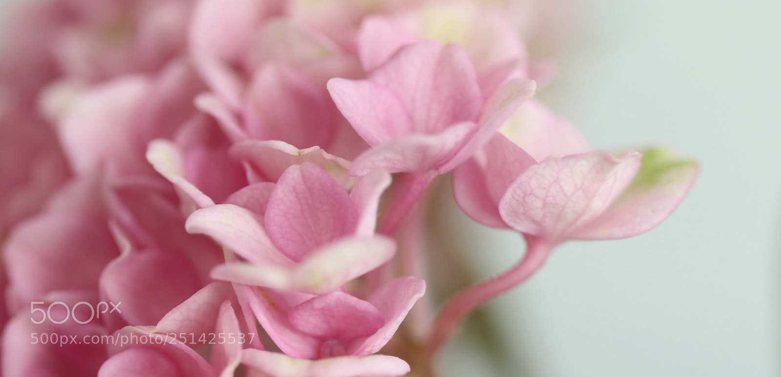 Canon EOS 70D sample photo. Spring photography