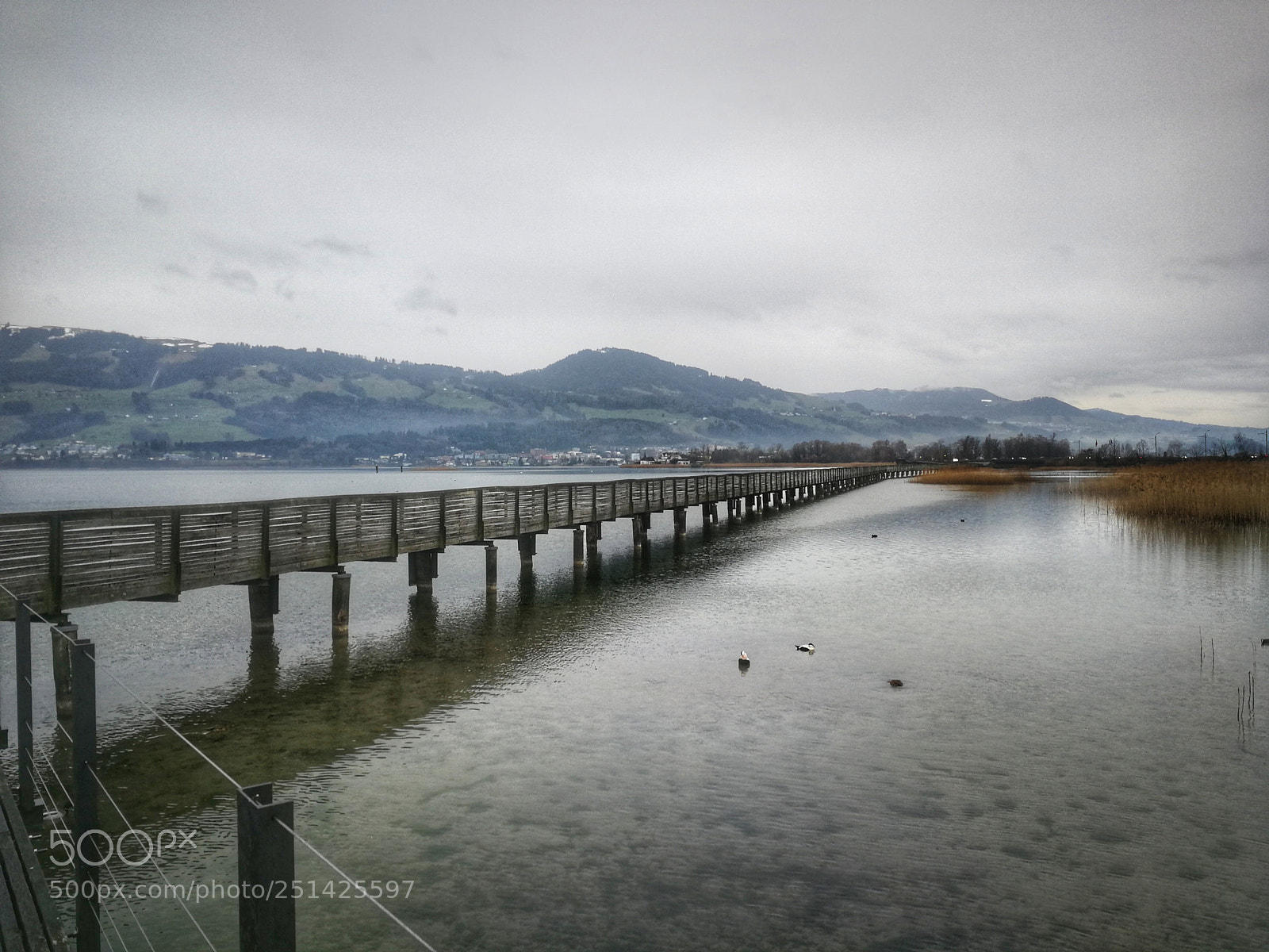 HUAWEI P10 sample photo. Bridge on lake of photography