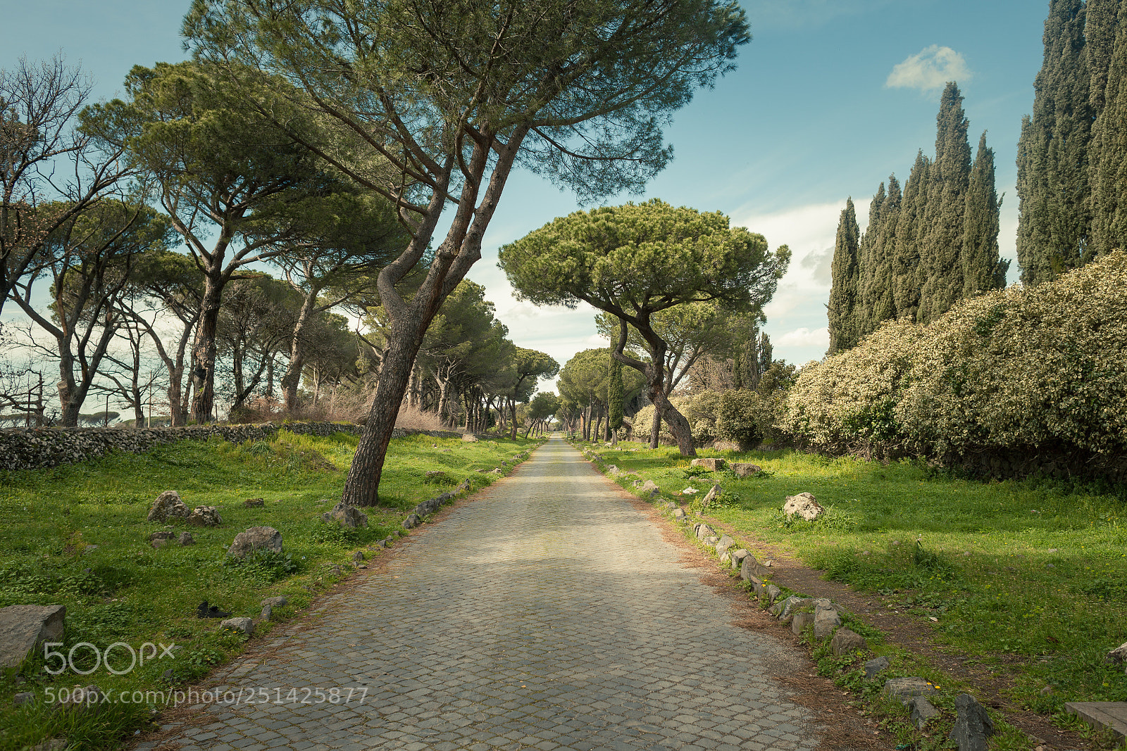 Canon EOS 5D Mark II sample photo. All roads lead to photography