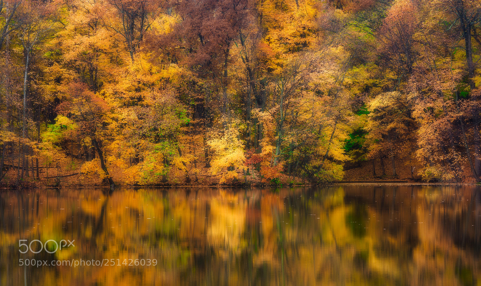 Nikon D7200 sample photo. Fall scene photography