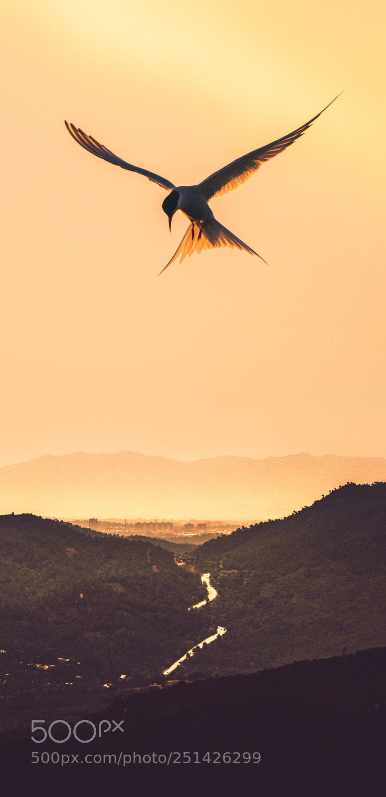 Nikon D3200 sample photo. The guardian photography