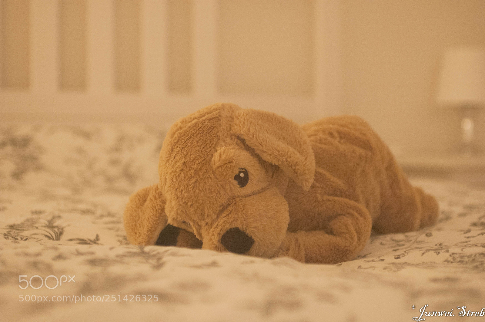 Nikon D70s sample photo. Untitled photography
