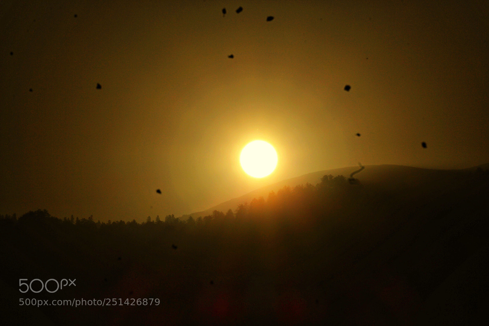 Canon EOS 700D (EOS Rebel T5i / EOS Kiss X7i) sample photo. Sunrise...!!! photography