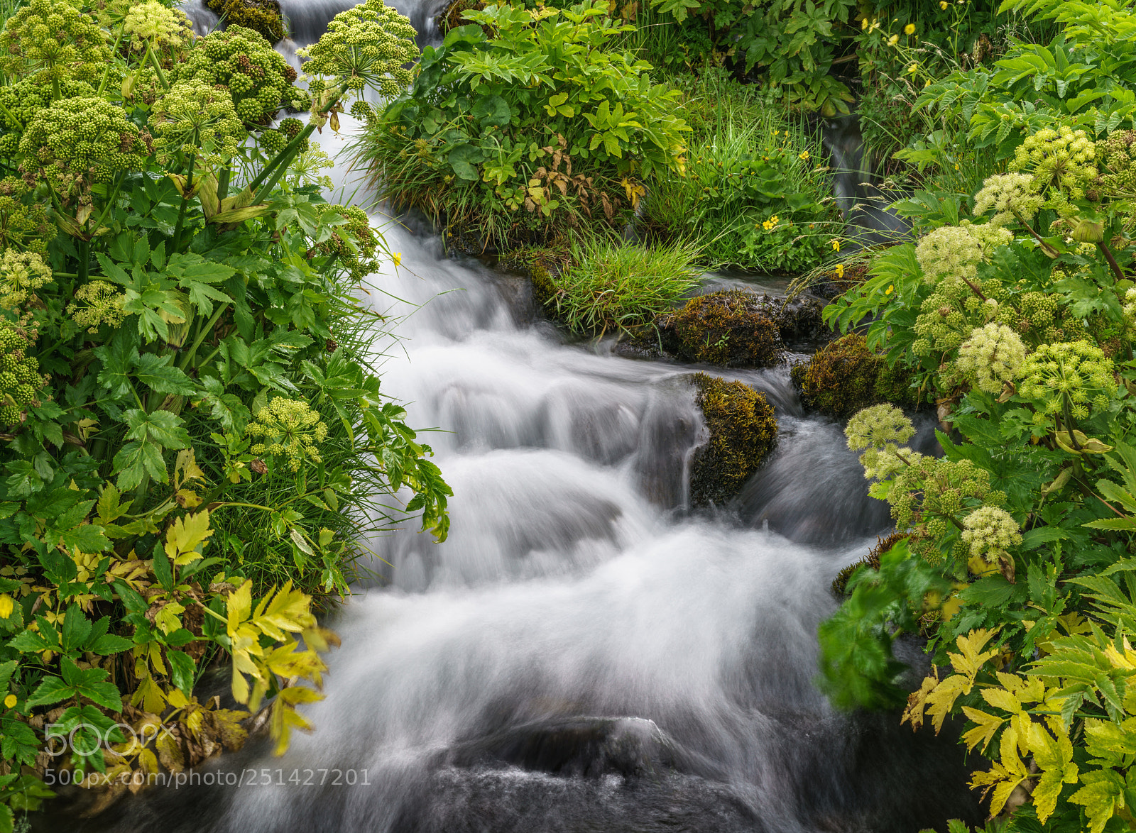 Sony a7R II sample photo. Iceland landscape 24 photography