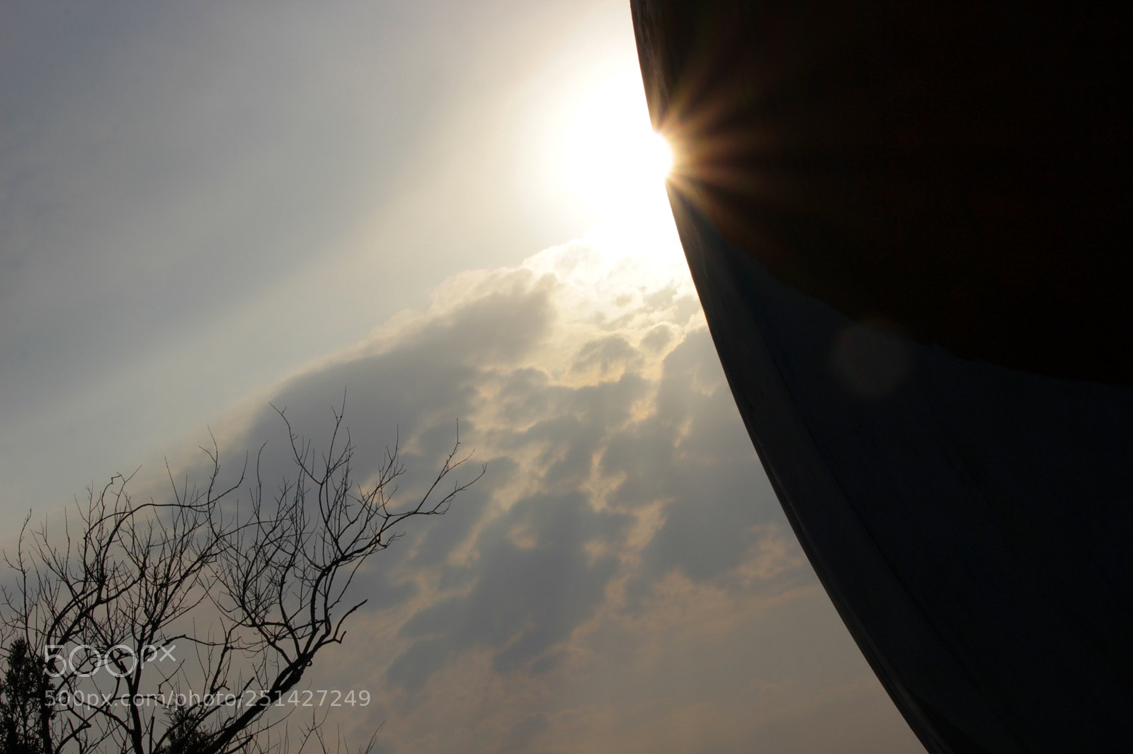 Canon EOS 600D (Rebel EOS T3i / EOS Kiss X5) sample photo. Untitled photography