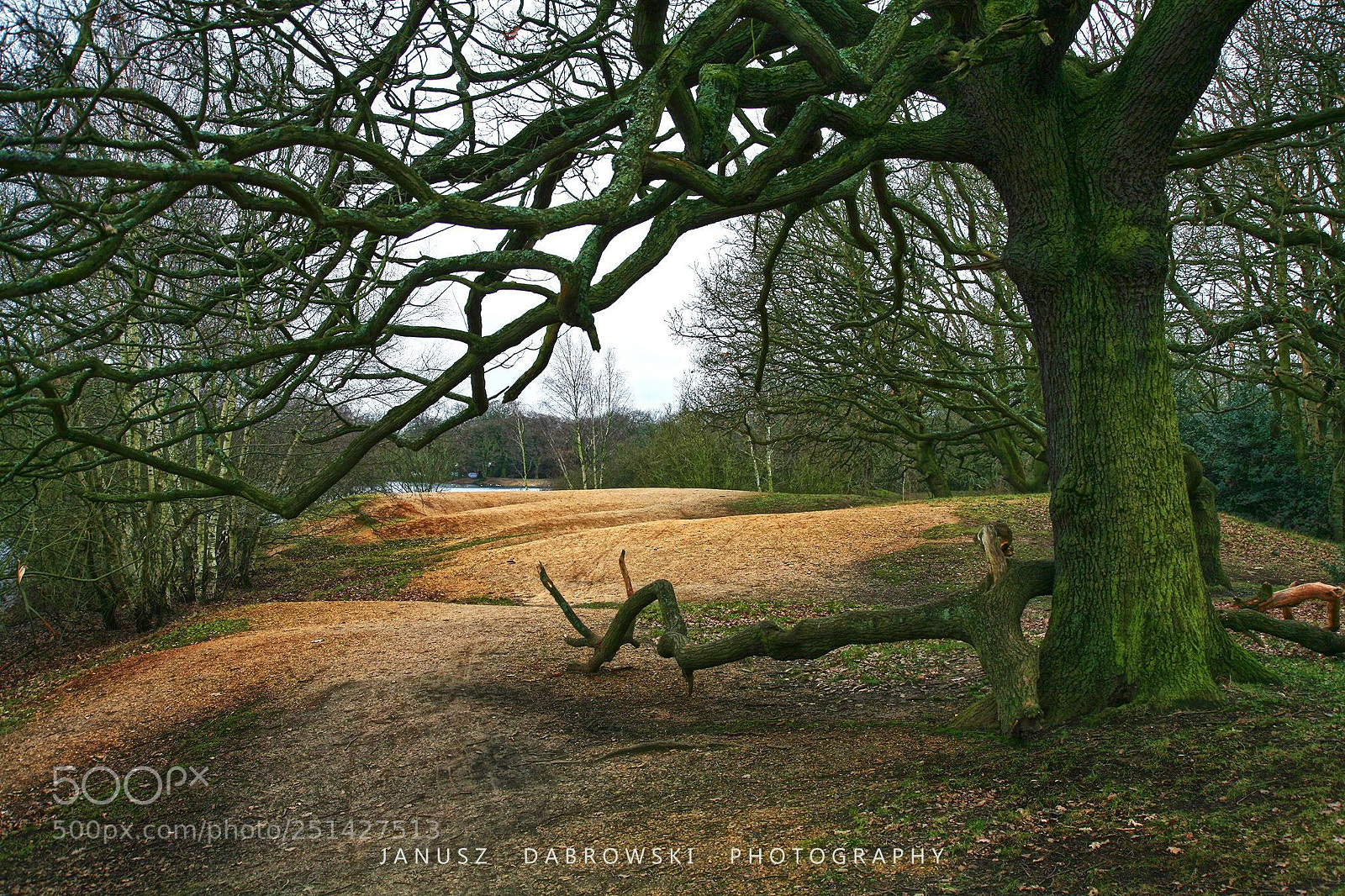 Canon EOS 5D sample photo. ()park photography