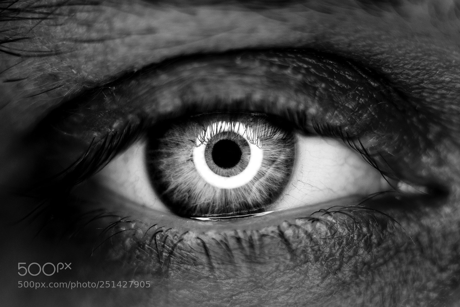 Canon EOS 700D (EOS Rebel T5i / EOS Kiss X7i) sample photo. Soul gazing  photography