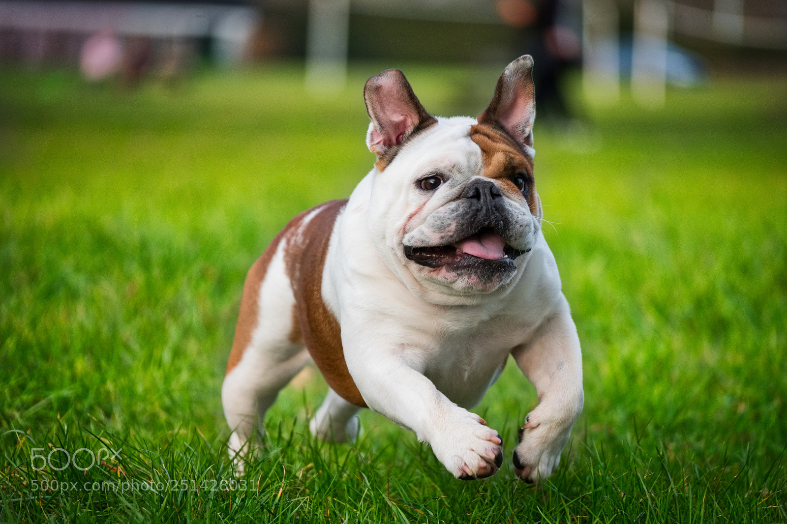 Fujifilm X-T2 sample photo. Running photography