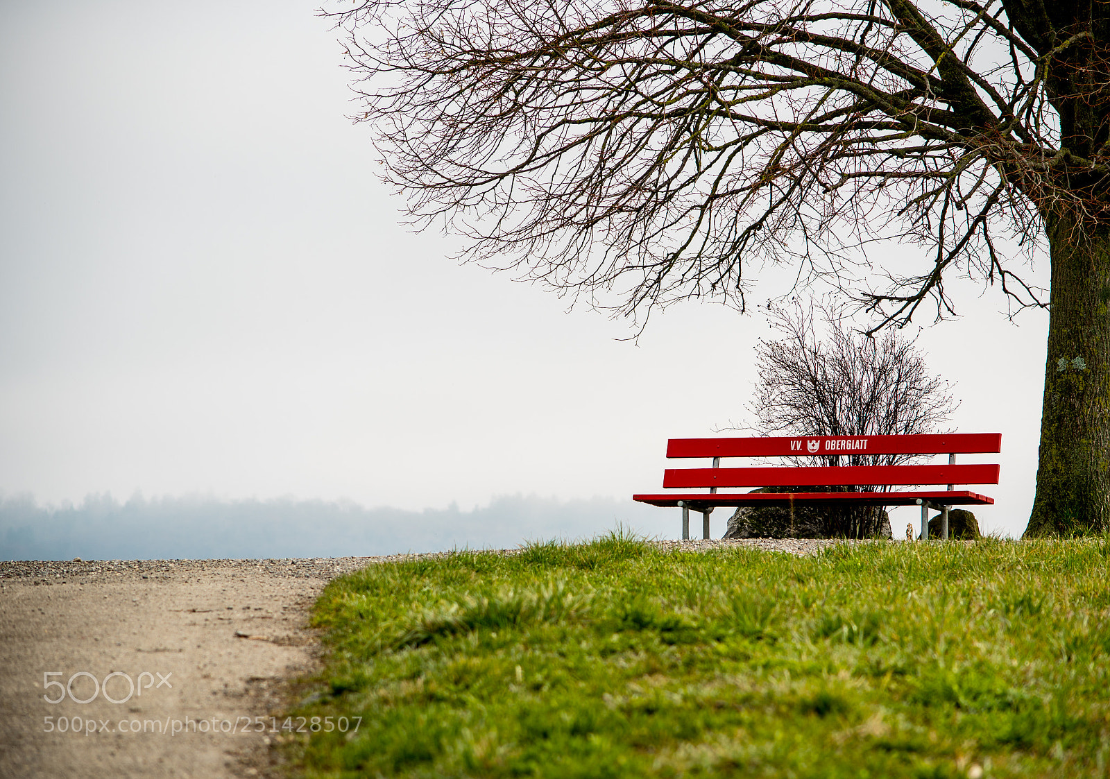 Nikon D7500 sample photo. Untitled photography