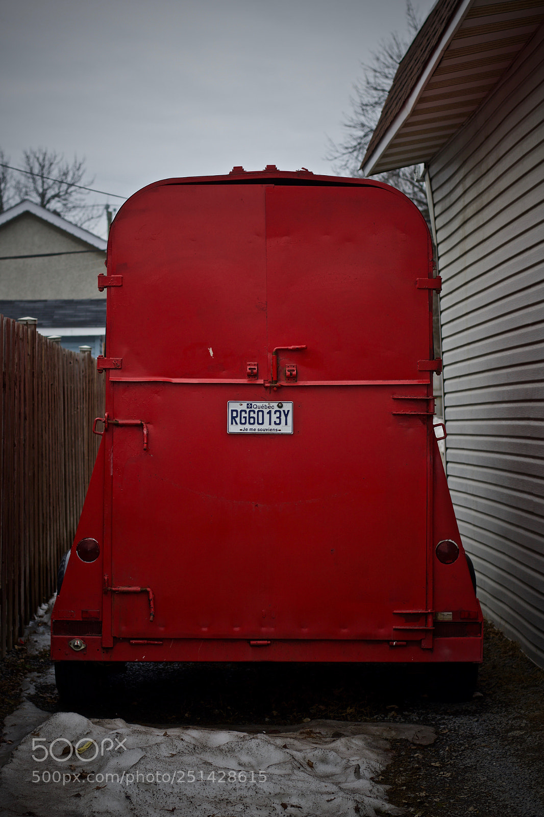 Nikon D5600 sample photo. Red photography
