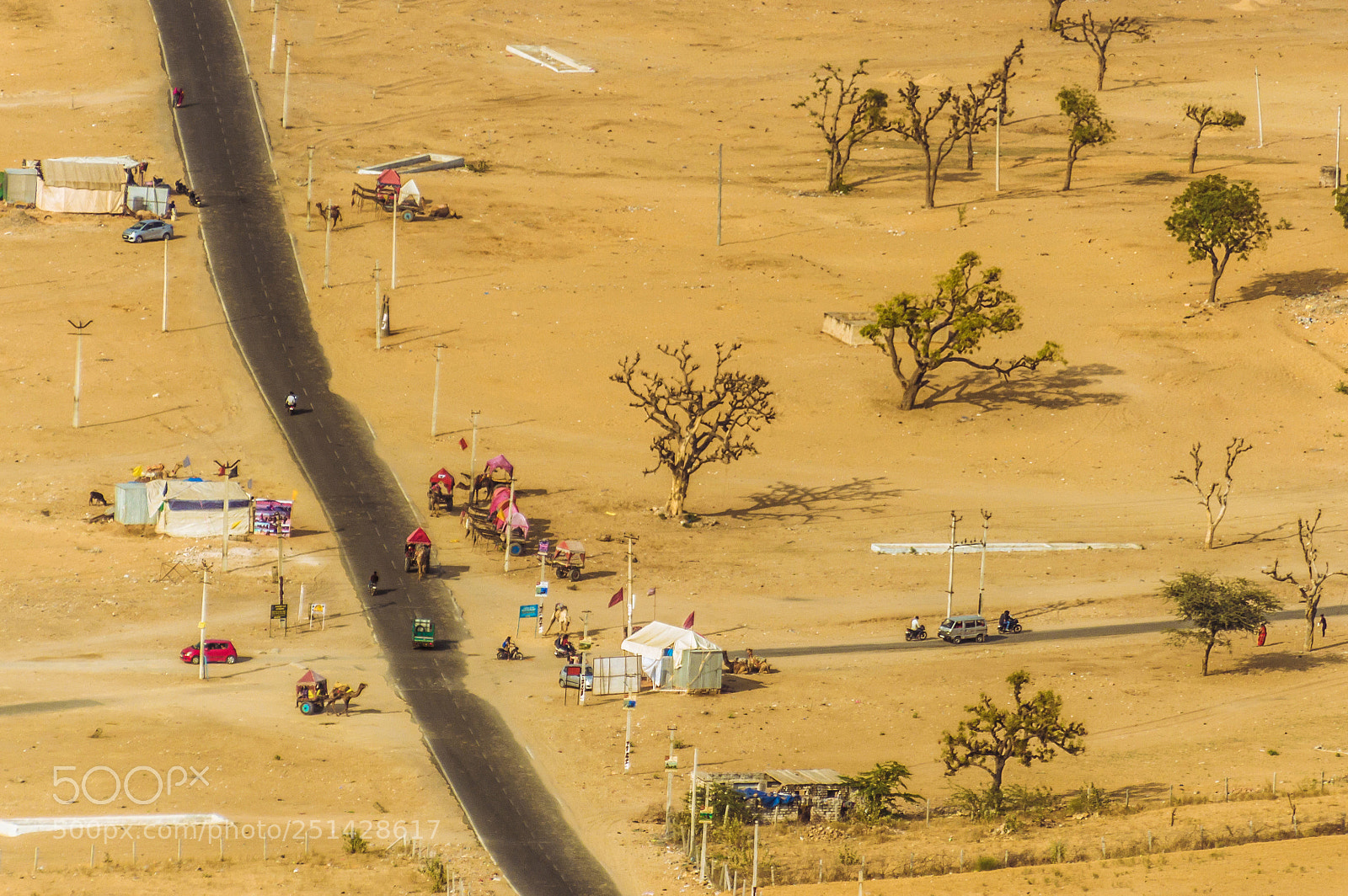Nikon D3200 sample photo. Life in the desert photography