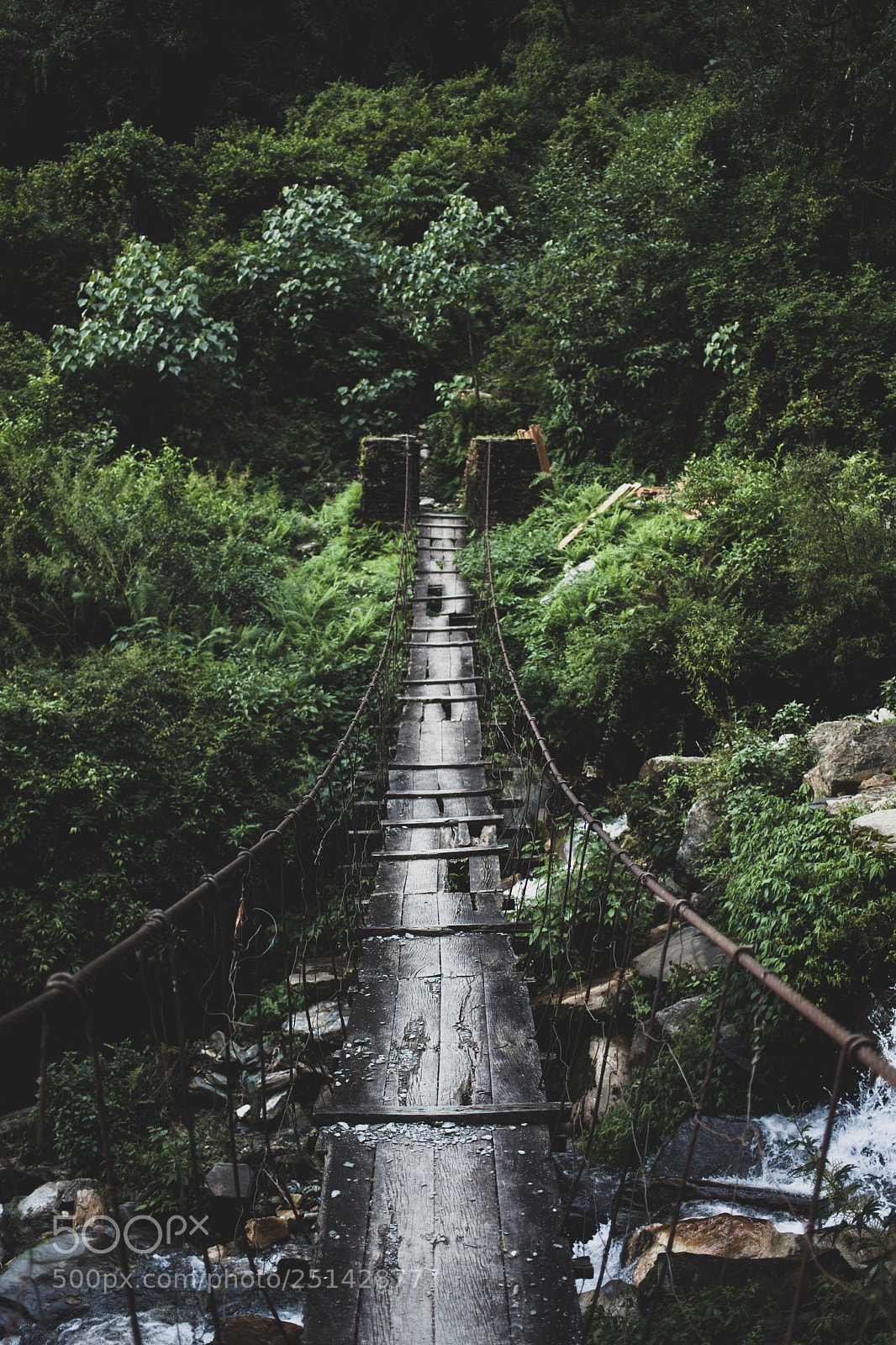 Canon EOS 5D Mark II sample photo. Wooden bridge photography