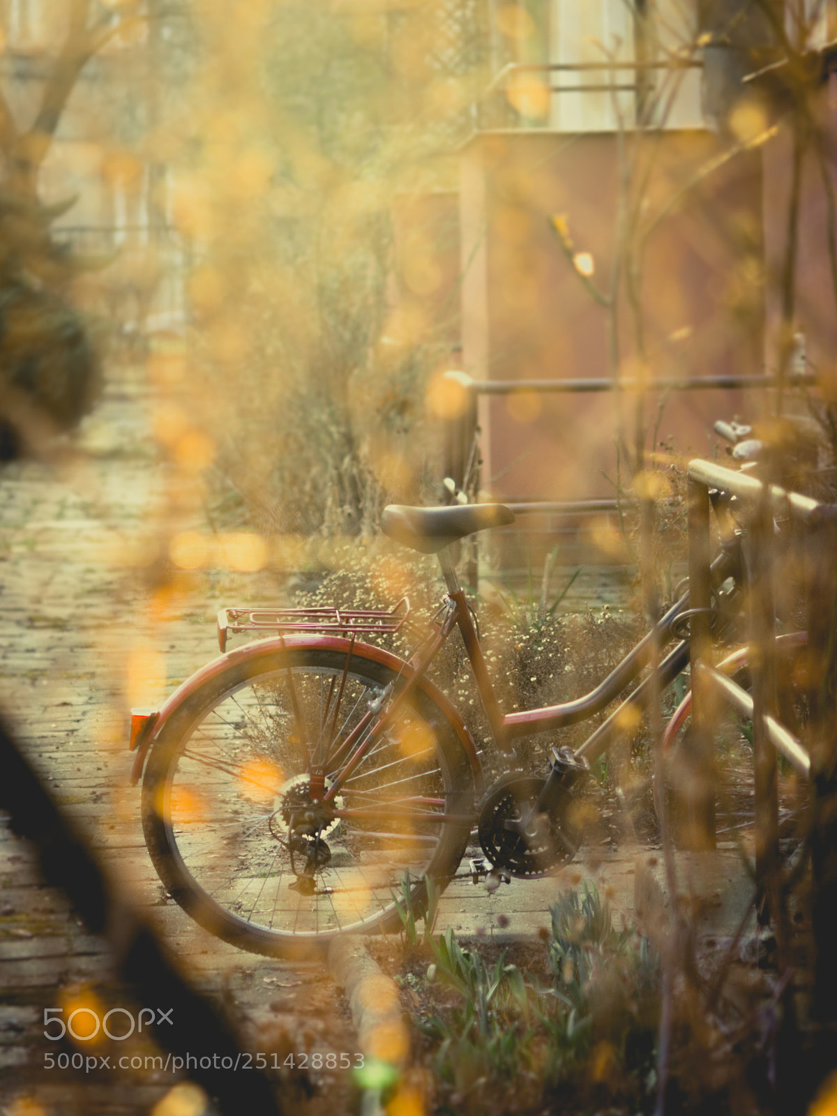 Pentax K-5 sample photo. Bike at sunset photography