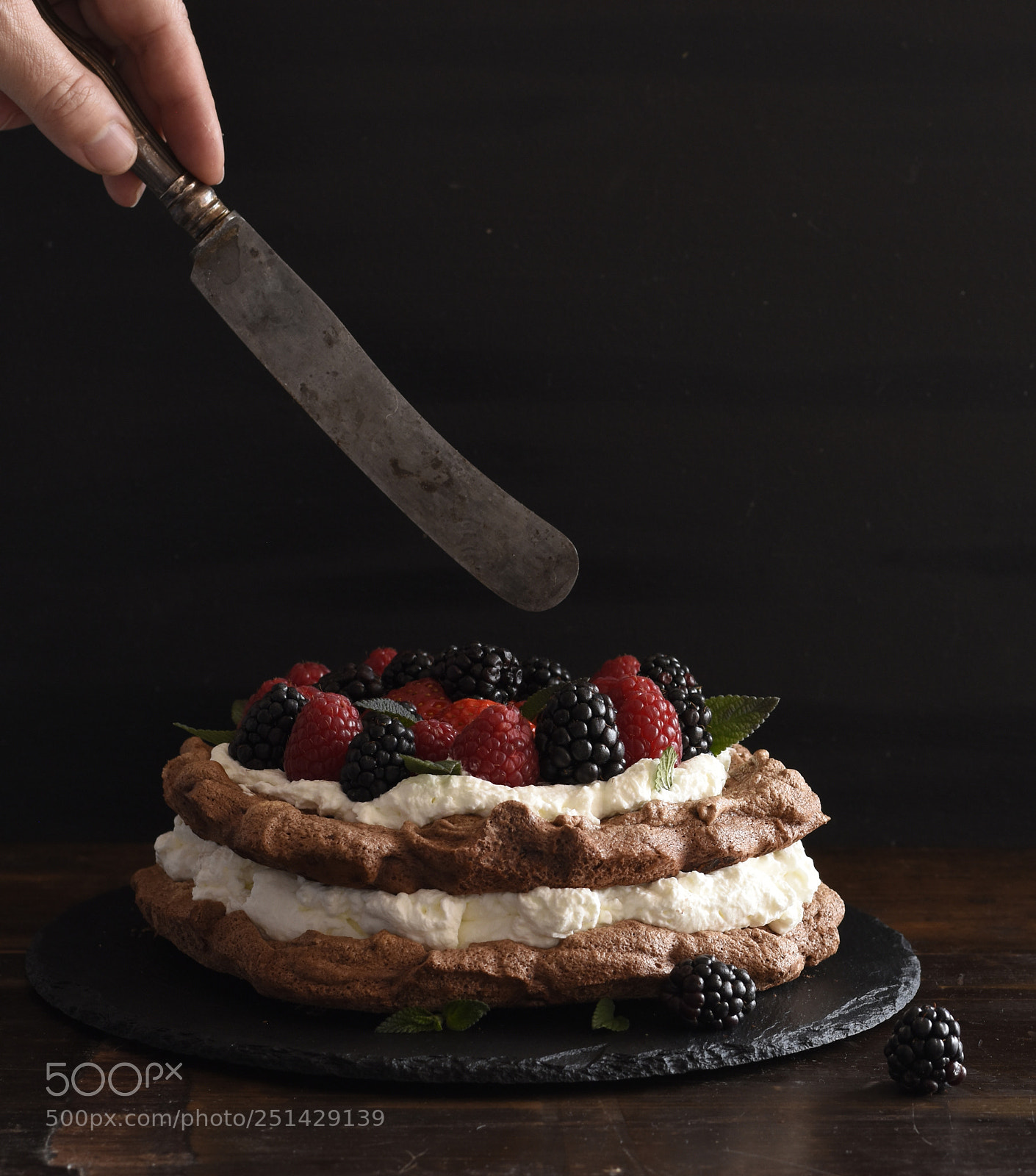 Nikon D5600 sample photo. Cocoa pavlova photography