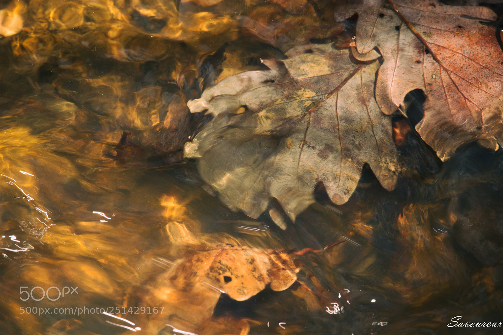 Nikon D5500 sample photo. *** photography