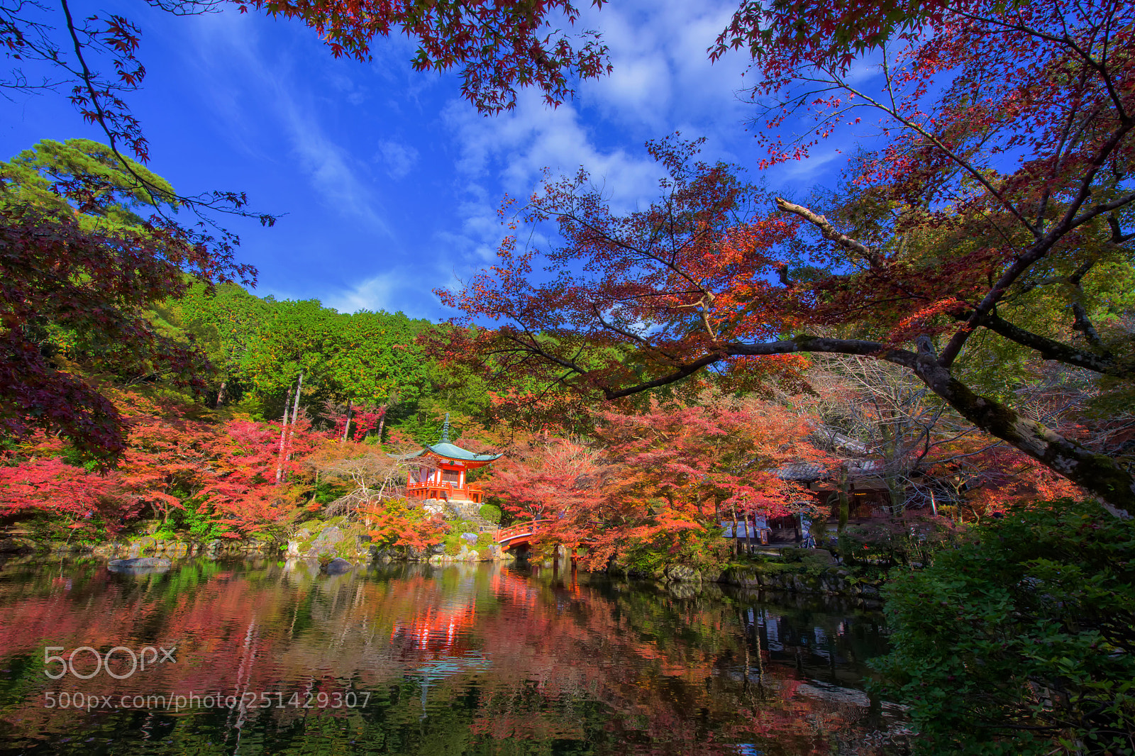 Nikon D810 sample photo. Daigoji temple with autumn photography