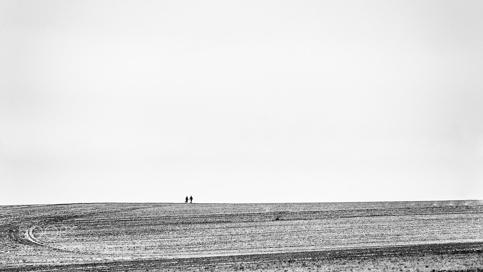 Nikon D700 sample photo. La promenade photography