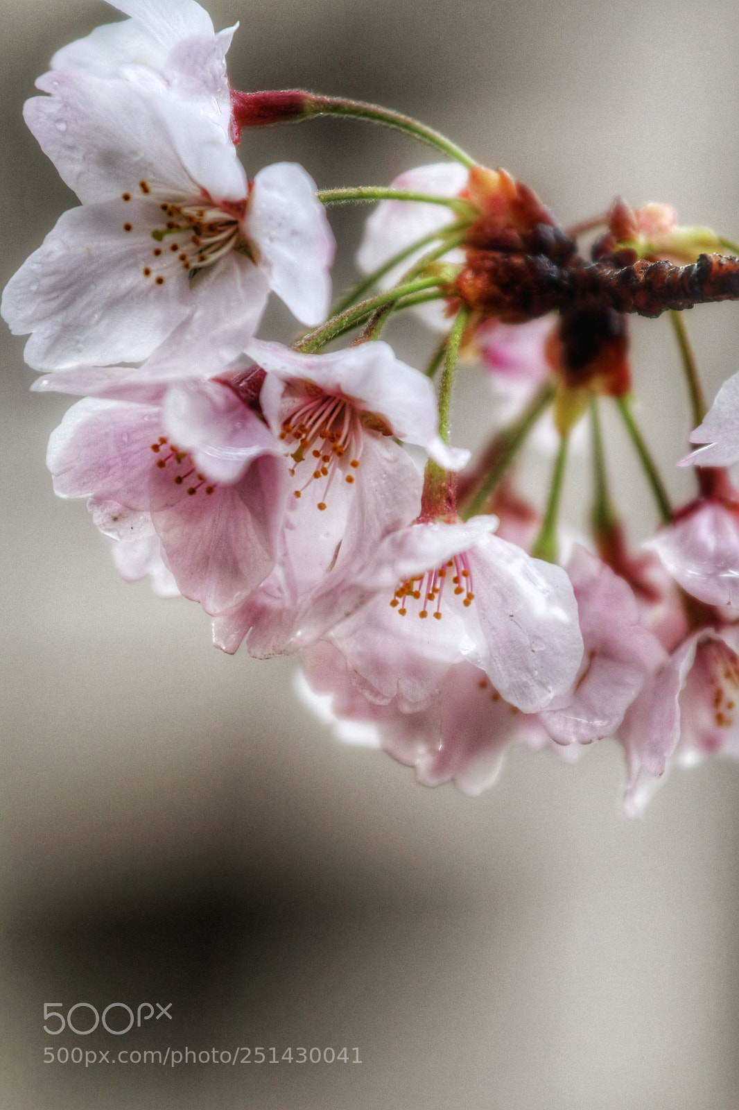 Canon EOS 70D sample photo. Untitled photography