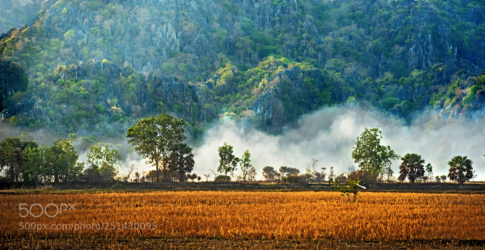 Nikon D800E sample photo. 田园风光 photography