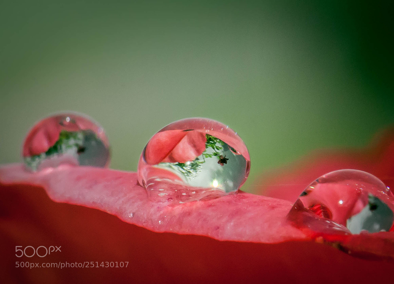 Nikon D90 sample photo. Inside a waterdrop photography