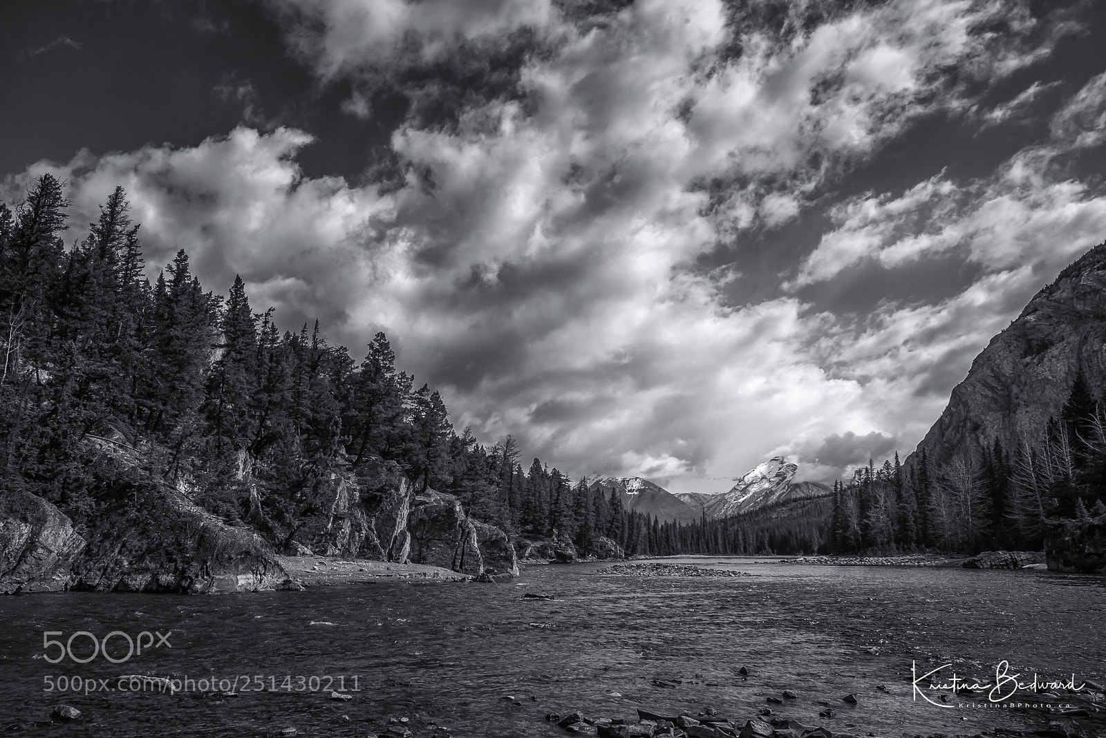 Nikon D600 sample photo. Bow river photography