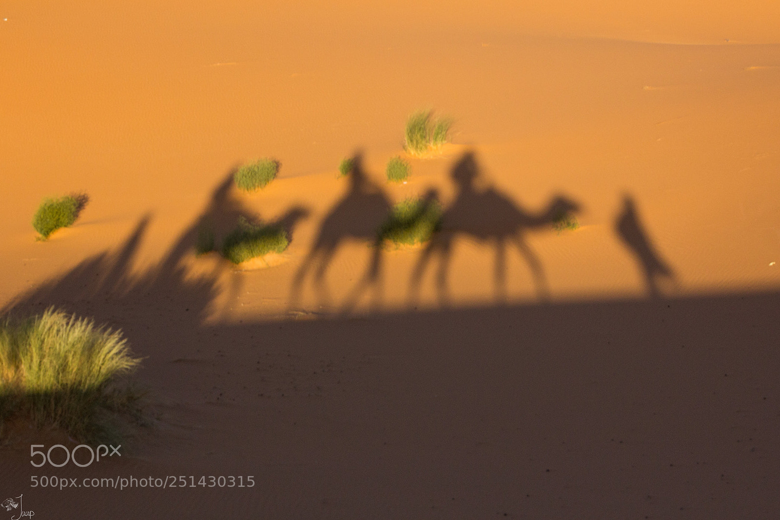 Canon EOS 60D sample photo. Eveningwalk through the sahara photography