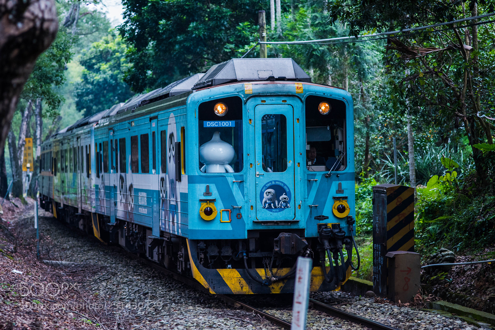 Nikon D810 sample photo. 懷舊鐵道 - 集集線 photography