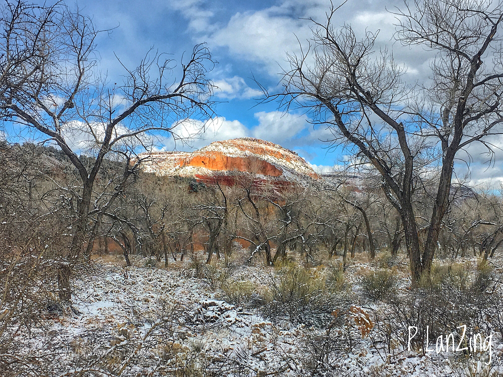Apple iPhone 6s sample photo. Snow morning, jemez, new photography