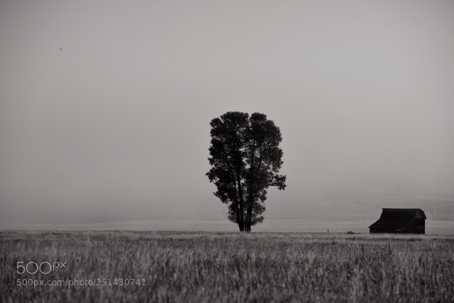 Nikon D810 sample photo. Wyoming fog photography